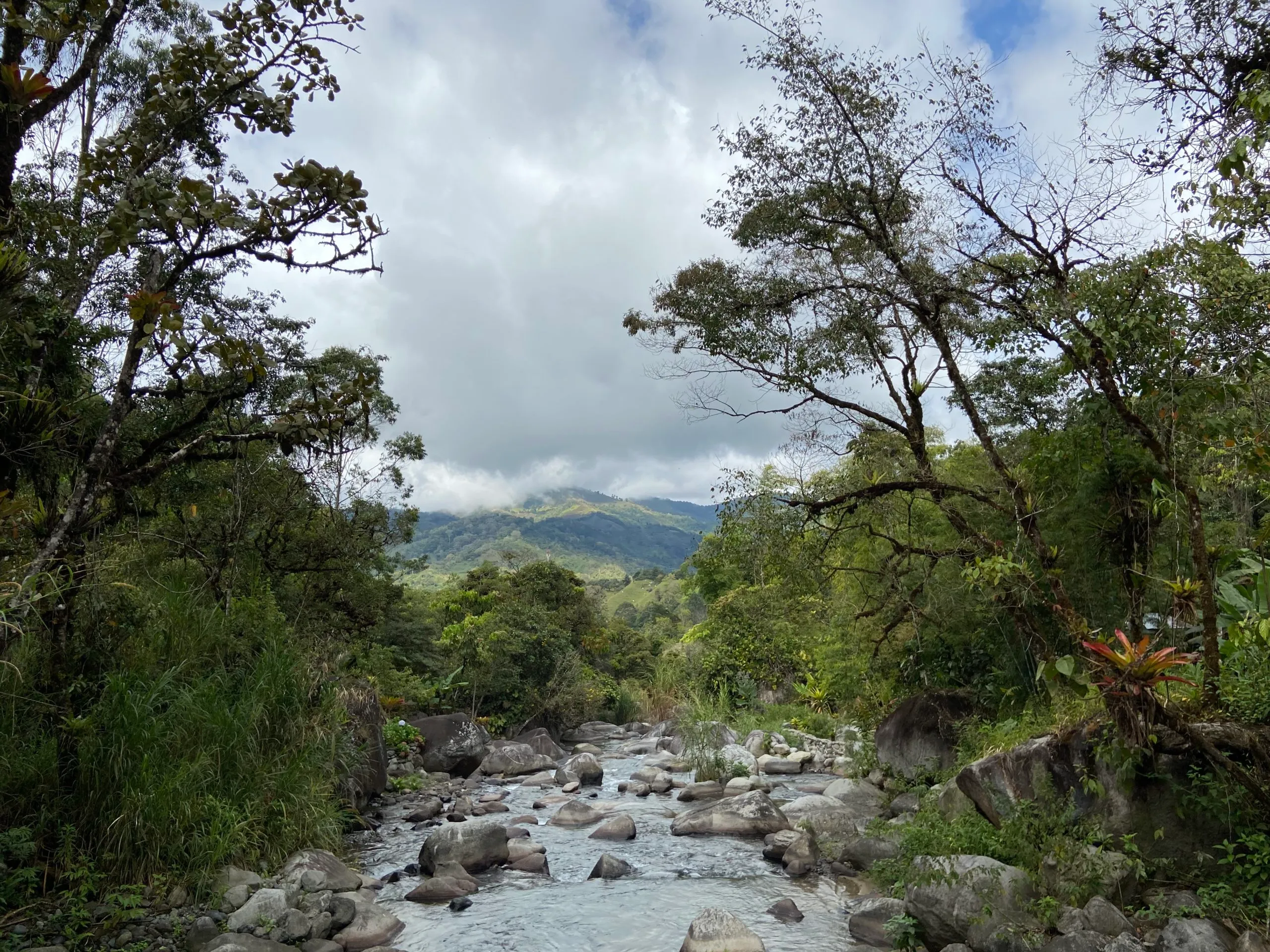 A clear stream winding through a lush green forest valley toward distant hills